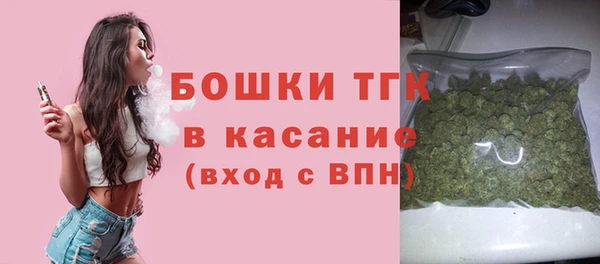 спайс Арсеньев