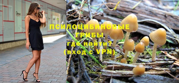 спиды Аркадак