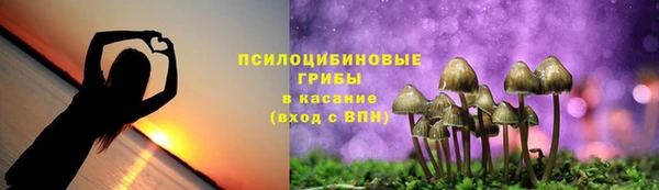 спиды Аркадак