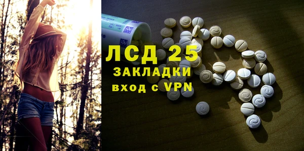 ГАЛЛЮЦИНОГЕННЫЕ ГРИБЫ Покачи